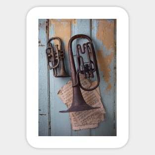 Two Old Rustic Horns Hanging On Door Sticker